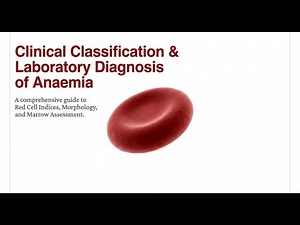 Anemia Explained: Morphological Classification , Reticulocyte Count, Blood Film & Bone Marrow Workup