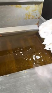 Welcome onto the menu for a limited time only, this is THE DIRTY BIRD 🍗🔥 Nashville Hot Fried Chicken 🐔 American Cheese 🧀 House Smoked Pork 🐖 Crispy Fried Onion Strings 🧅 Smokey BBQ 🇺🇸 Ranch 🔥 Pickles 🥒 Available now at Two Hungry Bears in Brookvale! #burger #special #friedchicken #chickenburger #twohungrybears #brookvale #eeeeeats #feedfeed | Two Hungry Bears