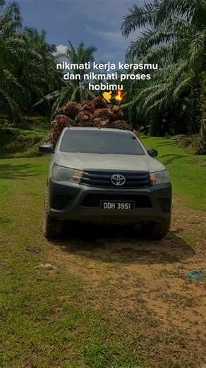 alladdin1992 on TikTok