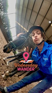 511K views · 18K reactions | My first horse riding lesson, giddy up  #MitchellWednesdayWander #HorseRiding Check out the longer version of this video on my YouTube (plz❤️) https://youtube.com/shorts/84Cwmun0iHI | Mitchell Coombs | Facebook