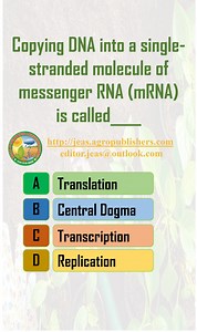 Copying DNA into a single-stranded molecule of messenger RNA (mRNA) is called __ https://jeas.agropublishers.com/free-online-mcq-test/ Reply in the Comment section. #MCQ #MCQsTest #TestYourKnowledge #jeas #jeasagropublishers #agropublishers #centraldogma #transcription #translation #translation #replication #foryou #education #educational | Journal of Environmental & Agricultural Sciences - JEAS