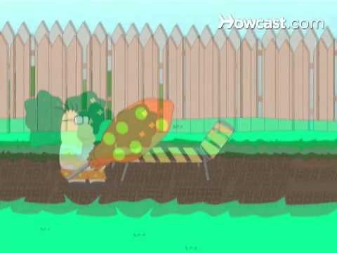 How to Get Rid Of Skunks