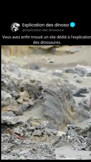Explication des dinosaures on Instagram: "Le Rajasaurus était un dinosaure carnivore qui parcourait ce qui est aujourd'hui l'Inde il y a environ 67 millions d'années, vers la fin du Crétacé. Ce théropode faisait partie du groupe des abélisauridés, une famille connue pour son crâne compact et profond et ses membres antérieurs extrêmement réduits. Ce qui distinguait le Rajasaurus était une crête osseuse basse et épaisse qui traversait son front, laquelle a peut-être joué un rôle dans la parade vis