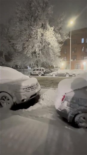 Walking my dog coco in the snow he loves the snow