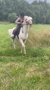 Naught pony 🤣 With a request from one of our fans: @billy._the._horse Make sure to follow us @horsesvideosfails for more fails No hate tolerated!! #horselovers #horsefails #horsefail #horseridingfail #horseridingfails #horses #horseofinstagram #jumping #horsejumping | HorseLovers Fails