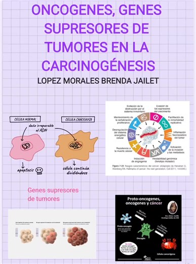 CARCINOGÉNESIS #genessupresoresdetumores #oncogenes #carcinogenesis