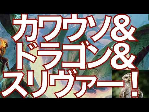 【MTGアリーナ】青単カワウソ•ドラゴン•スリヴァー•アグロです！ ……なに言ってんだコイツ！？と思われたと思いますが、たぶん、僕のチャンネルの動画で今環境一番のネタデッキになるかもしれません笑笑