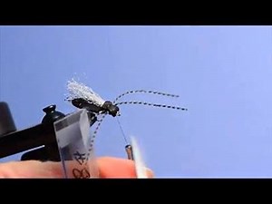 1.1K views · 13 reactions | Learn how to tie Cathy Beck's Super...