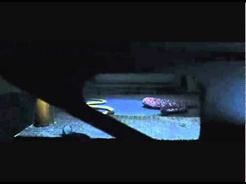 Snakes on a plane - best scene