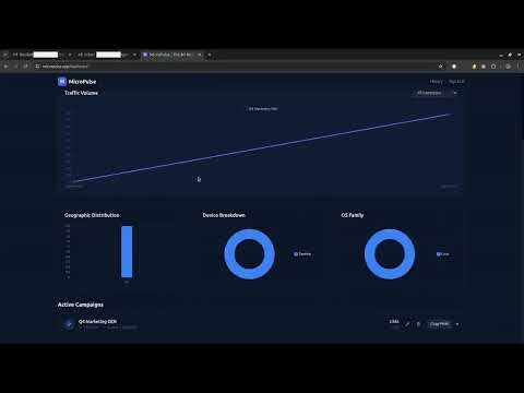 Email & Campaign Tracking in Real Time with MicroPulse | Pixel Tracking Tutorial
