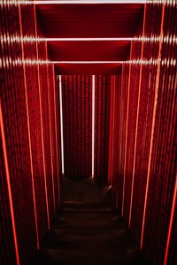 25 Best Nightclubs in Sydney [2025 December Update]