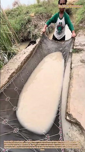 Un filet de pêche improvisé avec un drap : pêcher dans des cours d'eau étroits à l'aide d'un drap