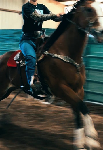 I don’t even know what to say….. My heart is so happy right now (we’re a little rusty)😭😭😭🫶🏻🫶🏻🫶🏻 @TLC Farms Equine Rehab @Elizabeth Zehring-Be #bernie #isback