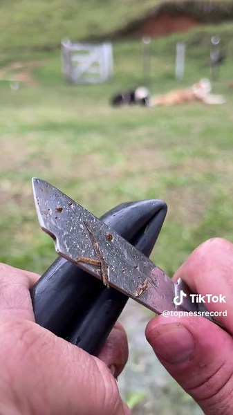 Stop using a valve to close your hose Smart and easy water control #CaliGarage #PlumbingHack #WaterFix