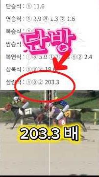 단방, 삼복, 삼쌍 203.3배 고래사냥 , 고래잡았다! 7월 10일 제주 6경주 분석 제대로 들어갔다! 이래서 제주 달인인가봅니다. 별대박경마