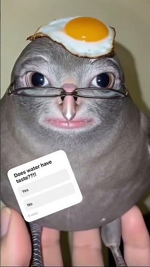 Some of my channel in 2025😭