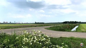 The sound of the twin cam Nord engine! | Alfa Romeo Giulia & 105-series