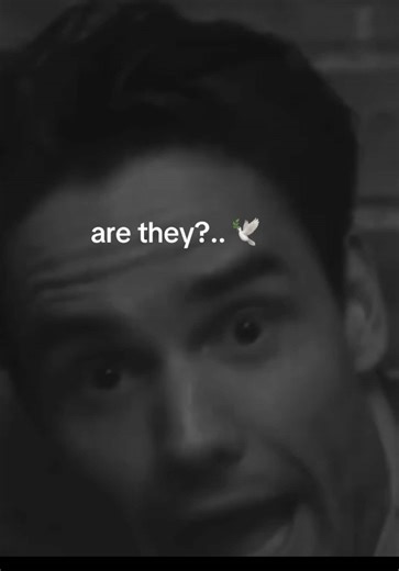 One Direction Boys' Activity Status Explained