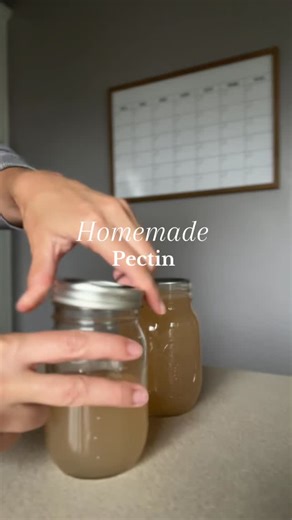HOMEMADE PECTIN 🍏 . . . #homestead #homemade #homesteading #canning #canningandpreserving | Homestead on the Rise