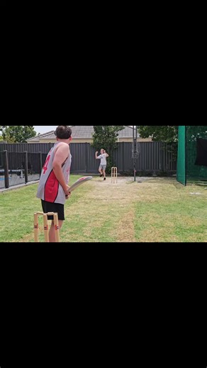 Backyard Cricket Games: Fun with Friends and Family