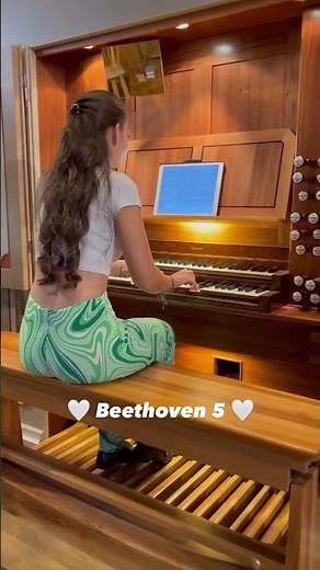 Ludwig van Beethoven - 5. Symphony