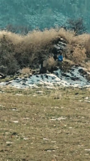 Bps sabot slug 12 ga test atışı taştaki tahribat ☠️ #shotgun #shotgunking #shotgun