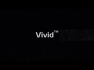 Vivid™ | Model and Interact with the World at the Speed of Change