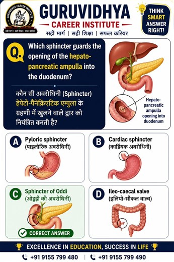 DMLT DRT Anatomy Important MCQs 🔥 #paramedical #education