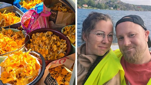 Paret hittade 50 kilo kantareller