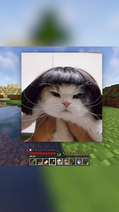 89K views · 3.9K reactions | irá papá #minecraft #clip #survival | Esme Mumu | Facebook