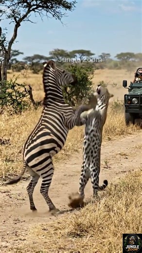 Zebra’s Kick Hit the Leopard’s Face | It Ran Away in Fear 😱🦓🐆 | #shorts