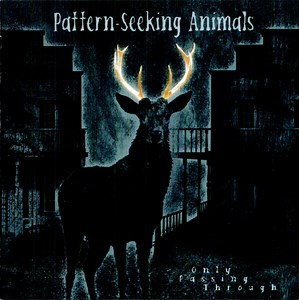 Pattern-Seeking Animals - Only Passing Through