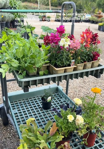 Creative Backyard Elopement Sendoff Ideas