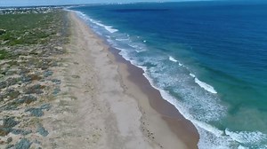 【鸡蛋狂魔】教你如何满脑子骚操作躲鲨鱼