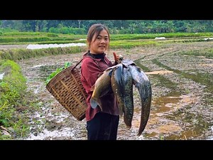 On the way back from harvesting vegetables, Diep was fortunate enough to catch large stranded fish.