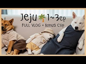 Jeju Island Travel Guide🌴 Episodes 1-3 + Bonus Video!