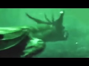 Deep Sea Camera Captures What No One Was Supposed to See