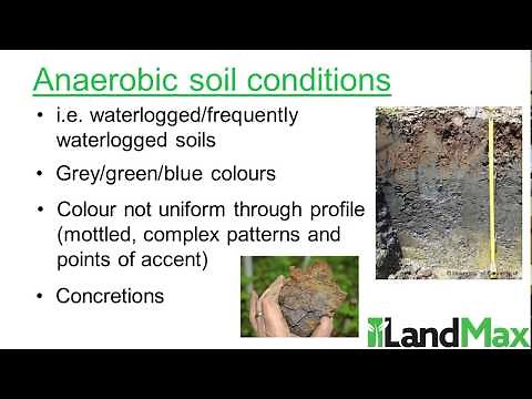 Soil Colour and What it Means for Plants - A LandMax Presentation