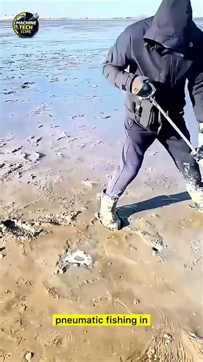 Crabs Breathe, Sands Harvested: The Pneumatics of Tidal Catching 🌊🦀