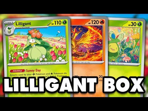 Lilligant Finally Has Good Partners!