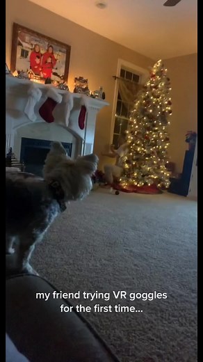 all fun in games untill theres a hole in the wall… #FFXmasSwitch #christmast #VR #2021 #ThanksandGiving #funnyvideos #superhot