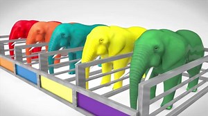 Gajah Lucu Film Kartun Animasi Anak Anak Film Kartun Hewan Lucu Kartun Animasi Anak Anak Lucu | Tokek