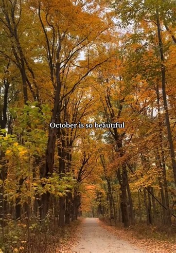 Fall Forever 🧡🤎 #fall #autumn #october