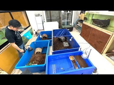 YouTuber's daily routine of raising over 100 creatures