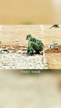 The recruits' first mission after enlisting turned out to be building roads.