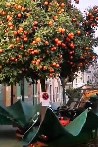 15K views · 35 reactions | Amazing pickup vehicle and Small agricultural spraying vehicle | Agriculture Methods | Facebook