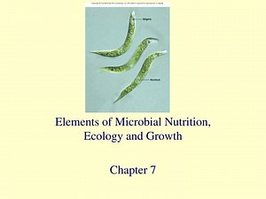 Elements of Microbial Nutrition, Ecology and Growth Chapter 7 - SlideServe