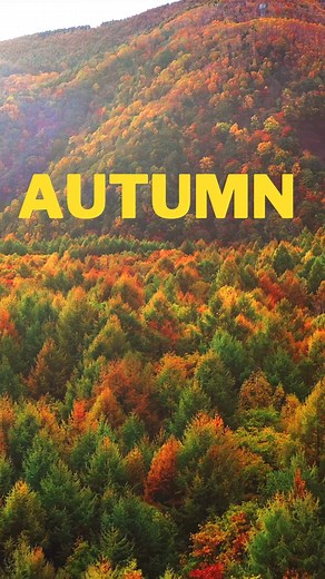 2.3K views · 55 reactions | Autumn  #autumn #nature #AmaZing | Amazing World | Facebook