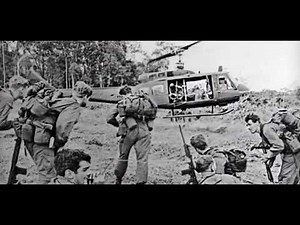 Cat has Vietnam flashback