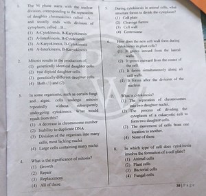 The M phase starts with the nuclear division, corresponding to ... | Filo